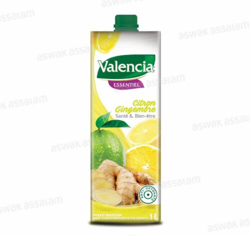 NECTAR CITRON GINGEMBRE 1L VALENCIA ESSENTIEL